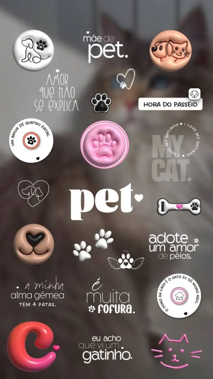 Story de pet